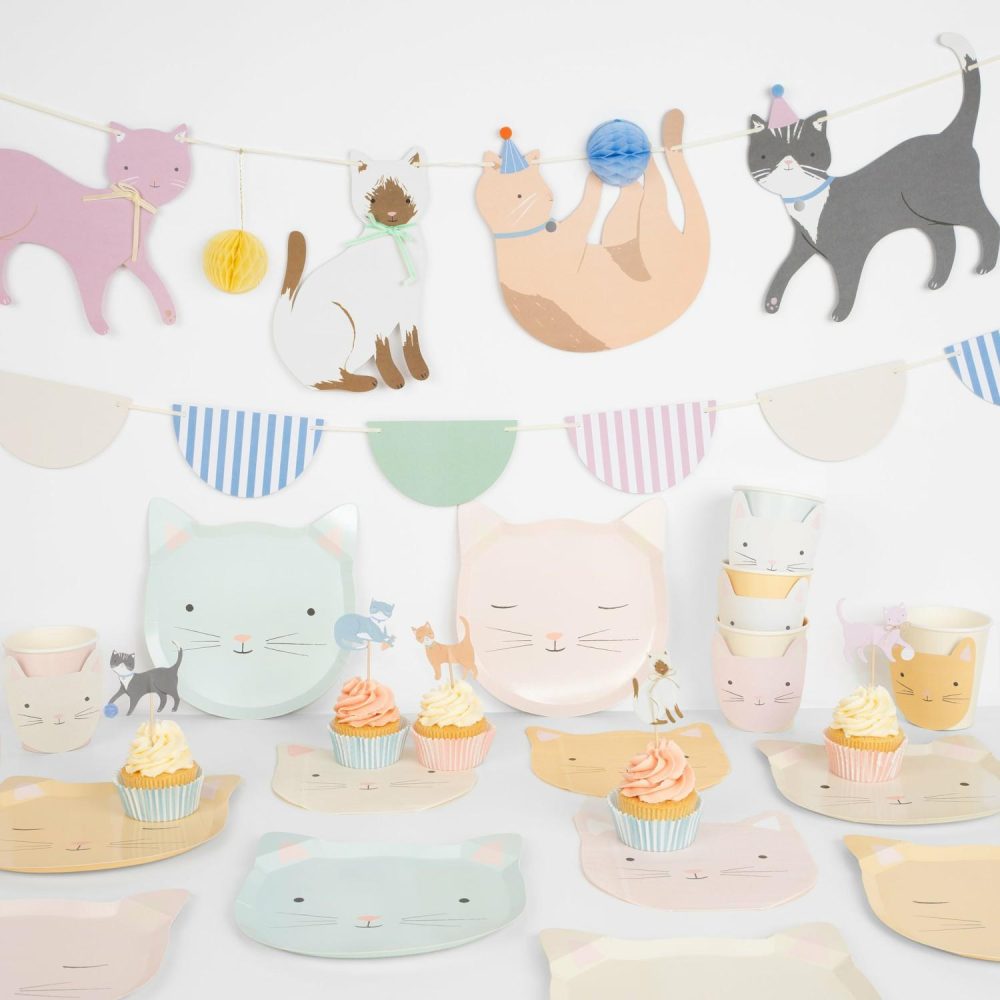 Complete Party Sets | Kitten Party Set Complete Party Sets Complete Party Sets