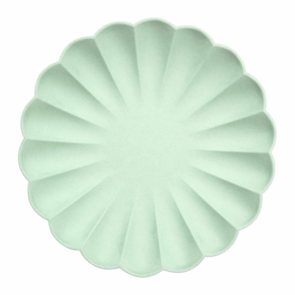 Plates, Cups & Napkins | Large Mint Sorbet Compostable Plates (X 8) Party Supplies Plates, Cups & Napkins