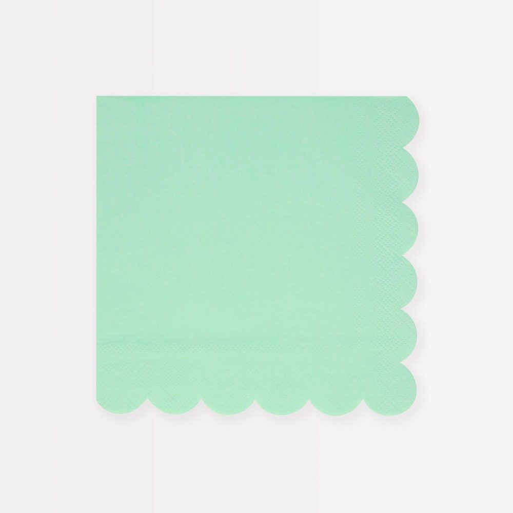 Plates, Cups & Napkins | Sea Foam Green Large Napkins (X 16) Party Supplies Plates, Cups & Napkins