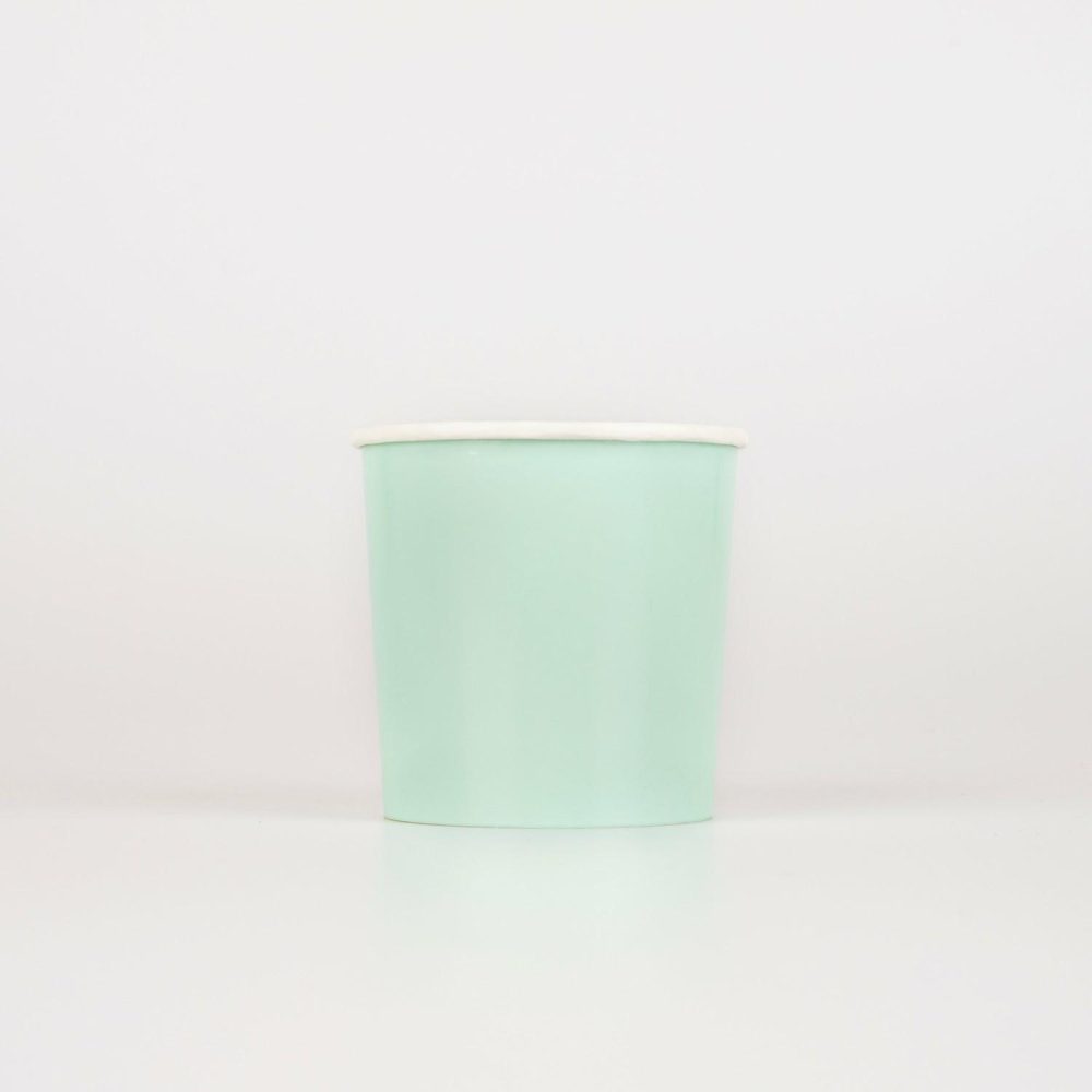 Plates, Cups & Napkins | Sea Foam Green Tumbler Cups (X 8) Party Supplies Plates, Cups & Napkins