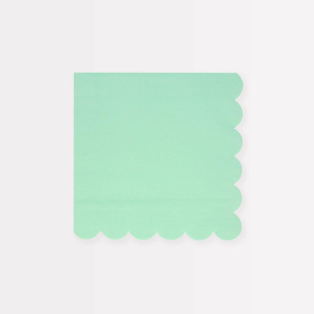 Plates, Cups & Napkins | Sea Foam Green Small Napkins (X 16) Party Supplies Plates, Cups & Napkins